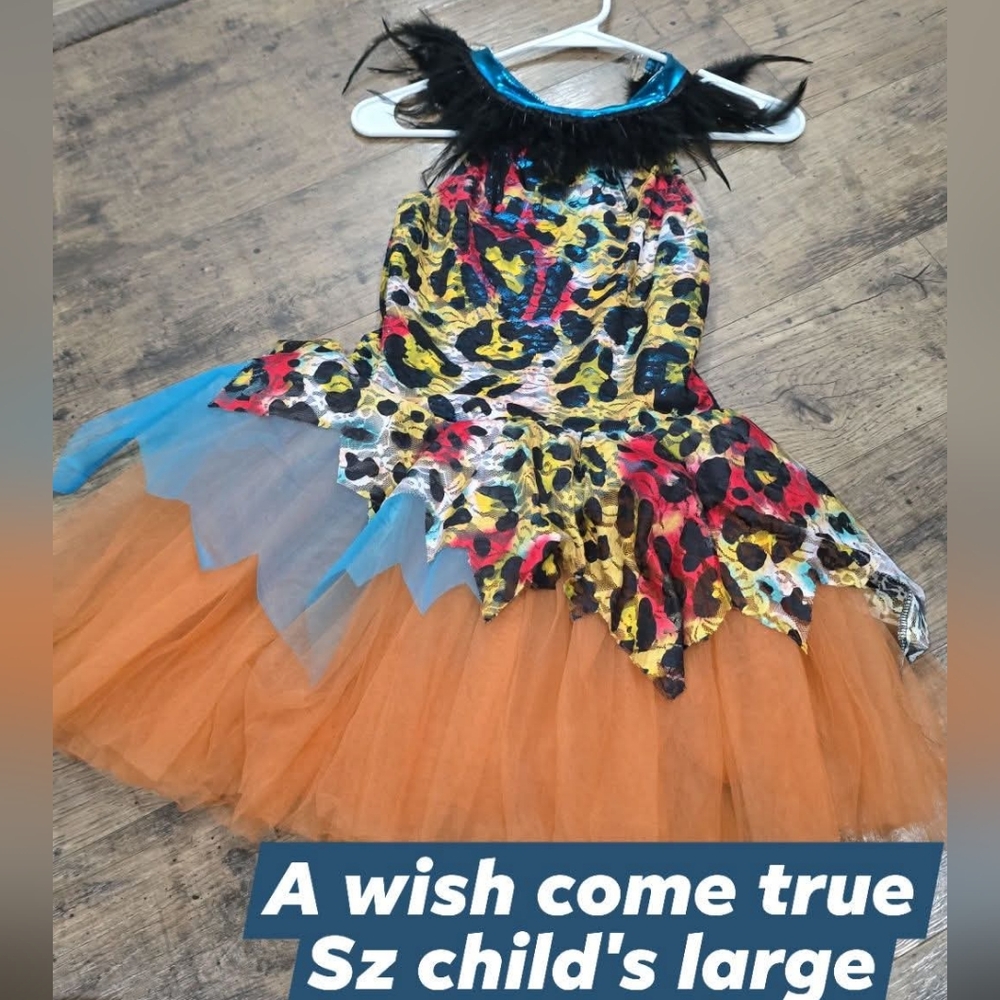 A wish come true girls dance dress sz large